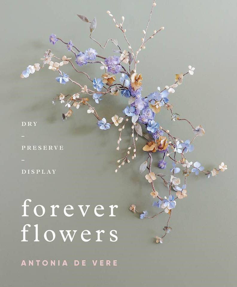 Forever Flowers: Dry, Preserve, Display