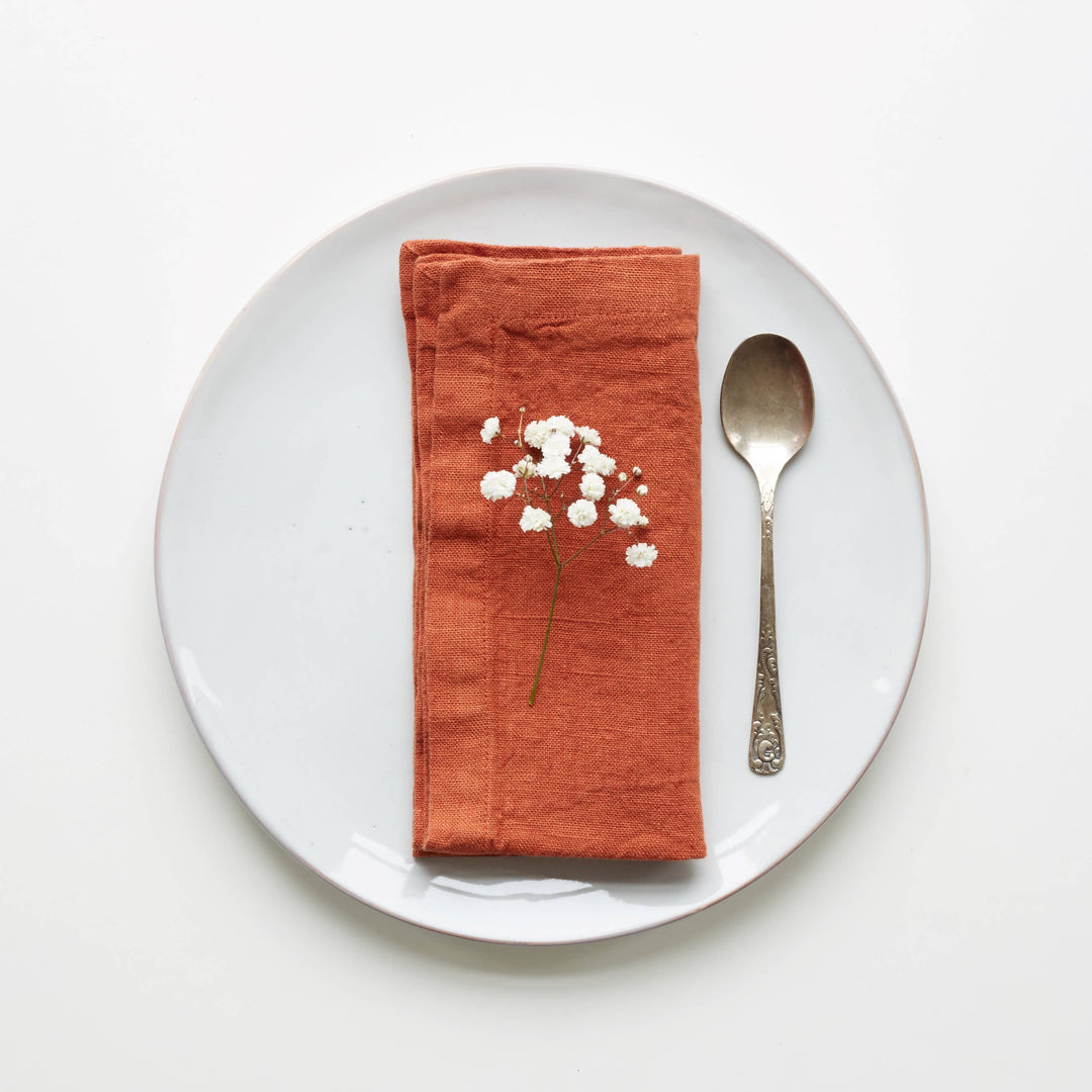 Baked Clay Linen Napkins Set of 2