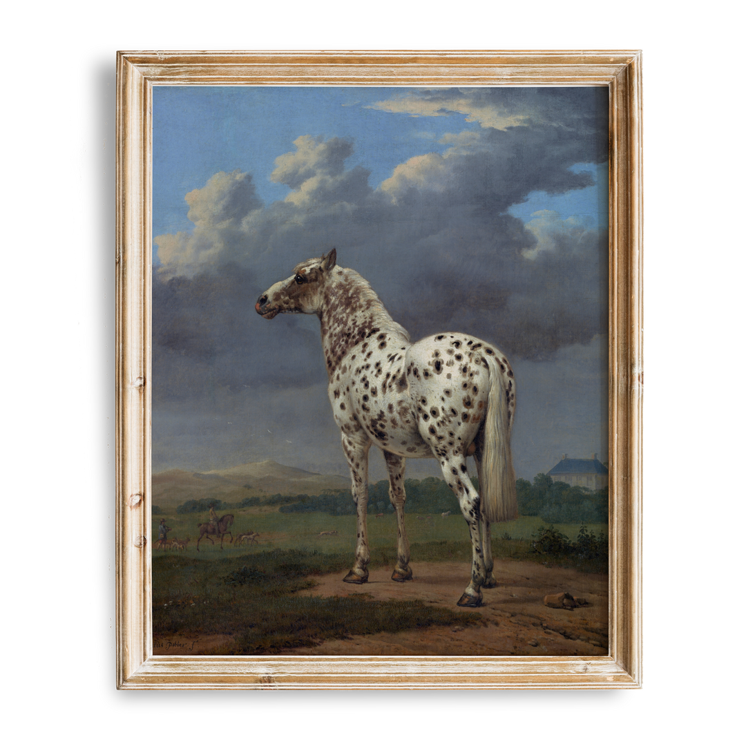 Vintage Piebald Horse Painting | Desert Wall Art | Boho
